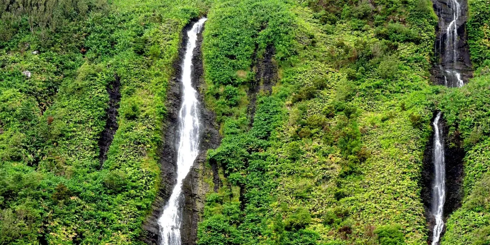 Cascate che scendono lungo una parete verde
