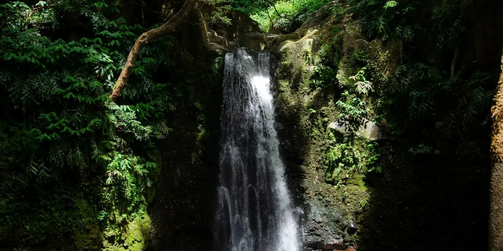Cascata nella foresta umida di São Miguel