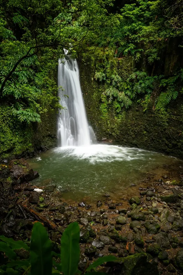 La cascata di Salto do Prego che si getta in una pozza tra le felci